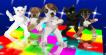 Blue Cross Disco Pets perform Staying Alive by The Beegees