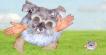 article thumbnail